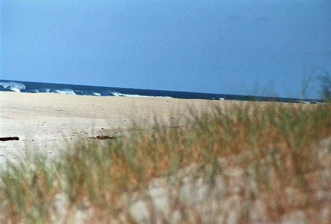 Die Atlantikküste bei Le Porge